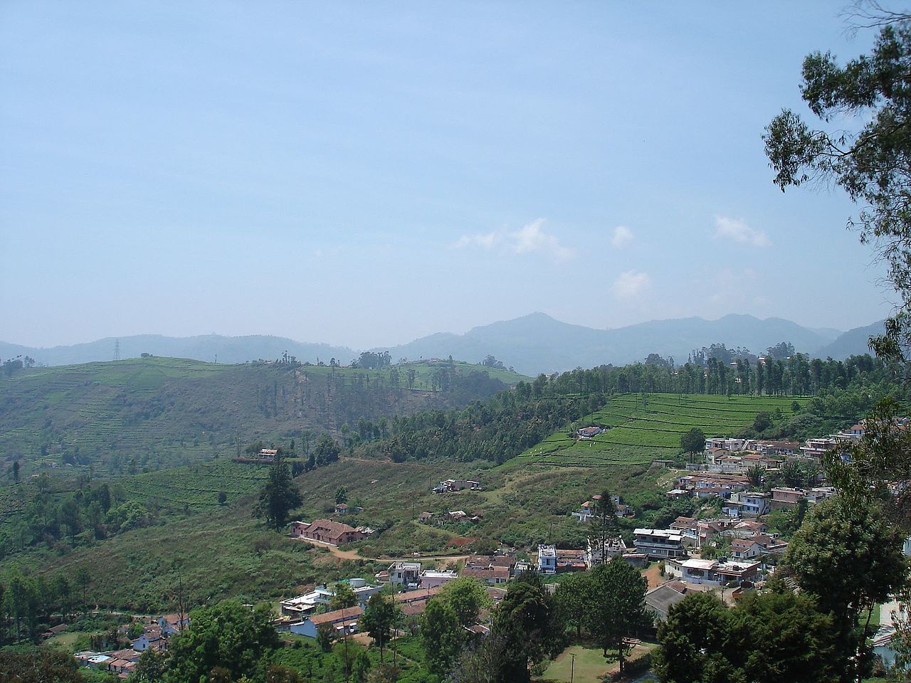 The Blue Mountains Beckon - Things to do in Kotagiri