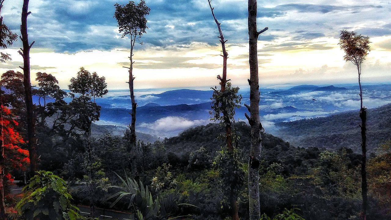 This hill station in Kerala will become your new favourite destination