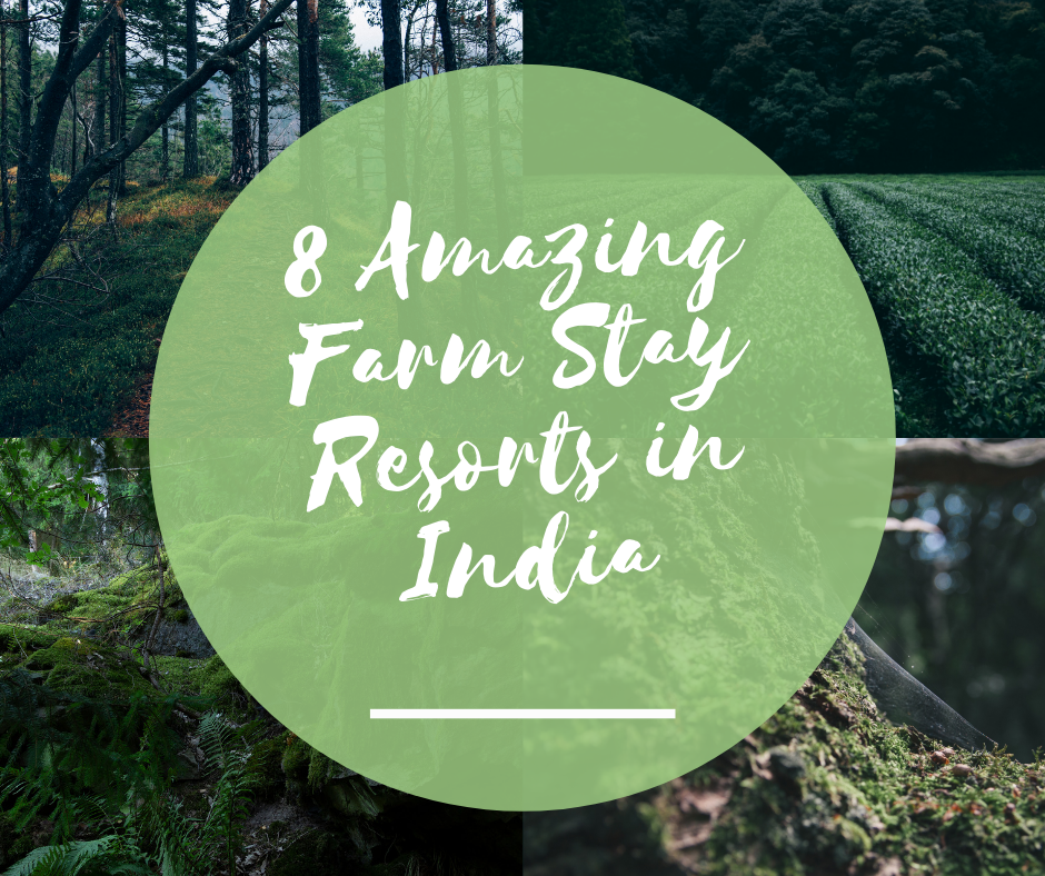 8 Amazing Farm Stay Resorts in India