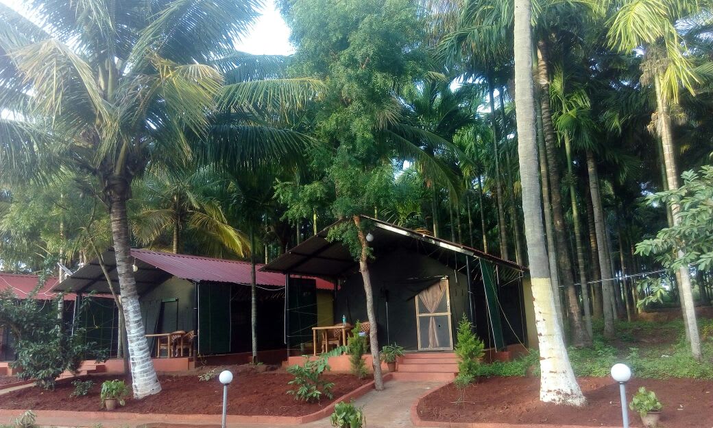 Savaari-kabini-farm-stay-resort-india