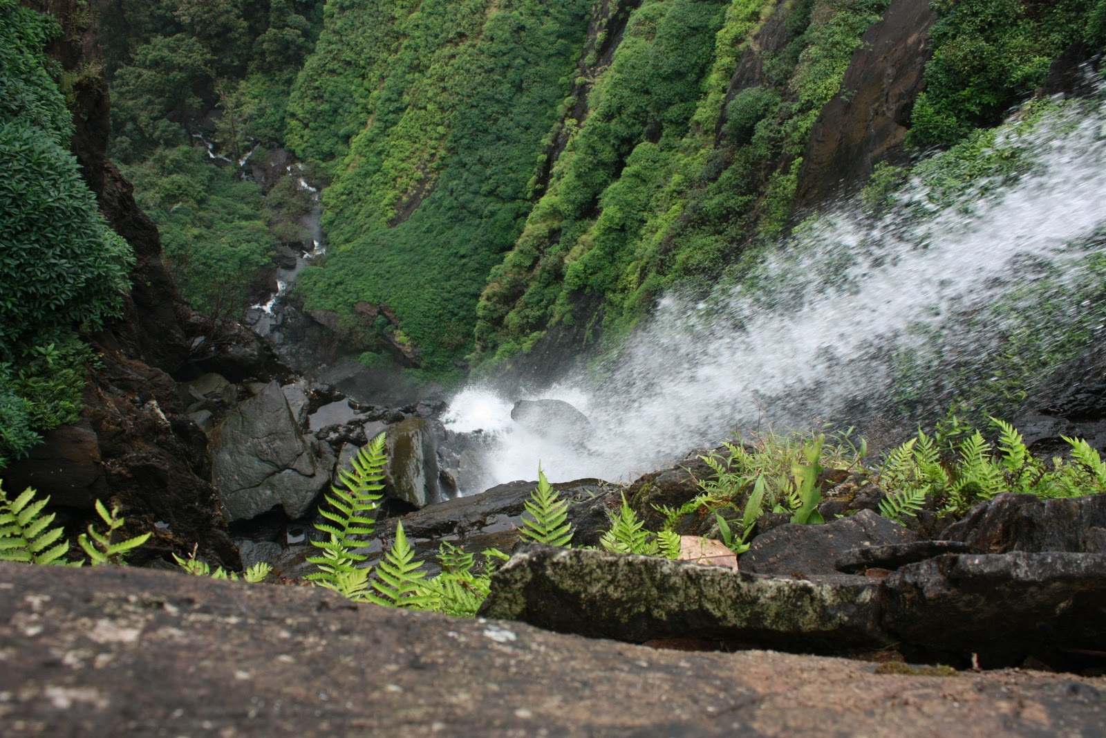savaari-agumbe-monsoon-destinations