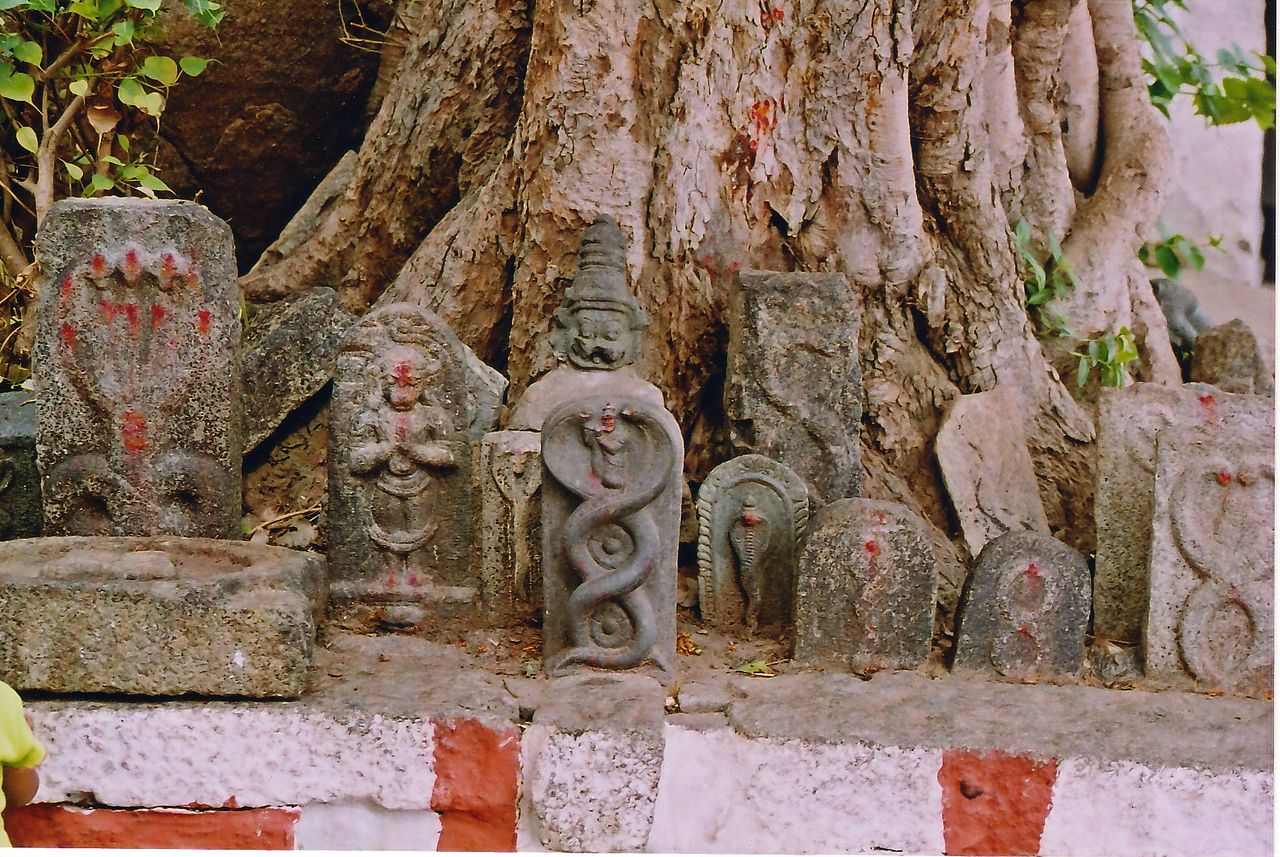 savaari-nag-panchami-indian-traditions