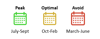 bangalore-pune-calendar