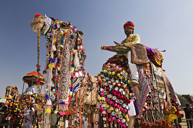 savaari-bundi-utsav-cultural-extravaganza-2019