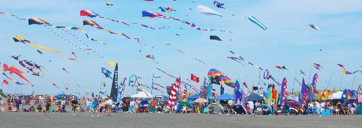 savaari-international-kite-festival-jaipur-2020