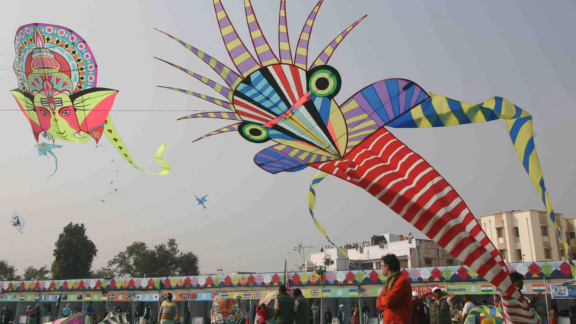 Jaipur Kite Festival Savaari Car Rentals Blog