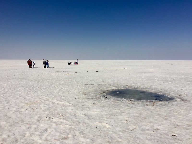 savaari-largest-salt-desert-india-rann-of-kutch-travel-begins-at-home