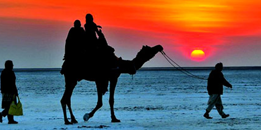 savaarri-rann-of-kutch-evening-scene