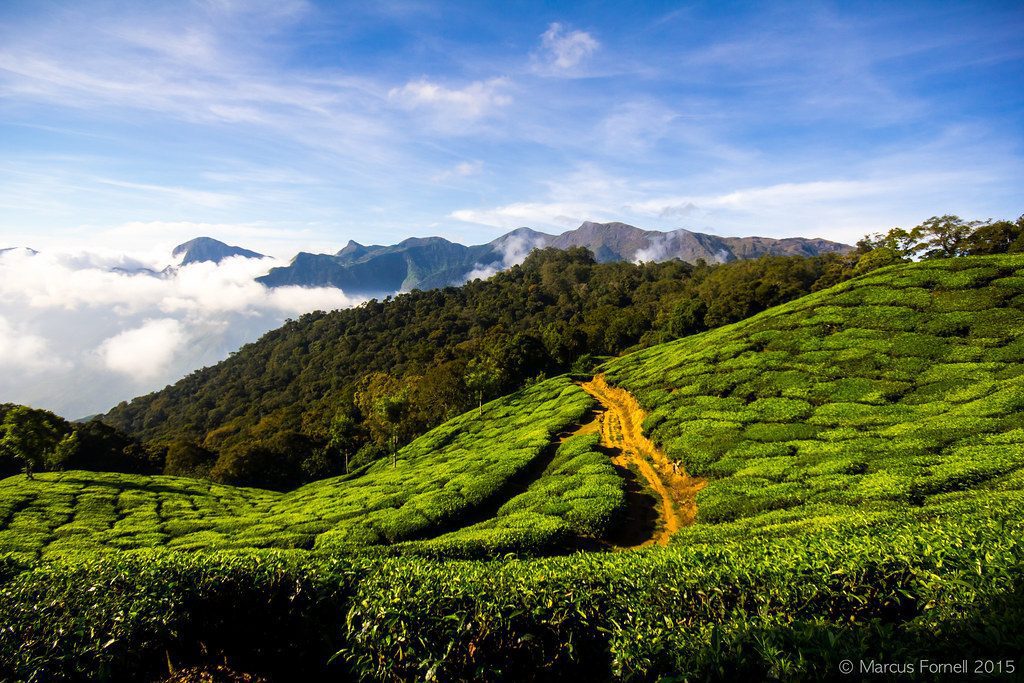 savaari-kanan-devan-hills-kerala