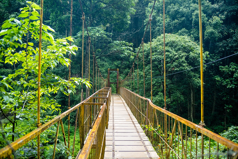 savaari-landscape-scotland-coorg