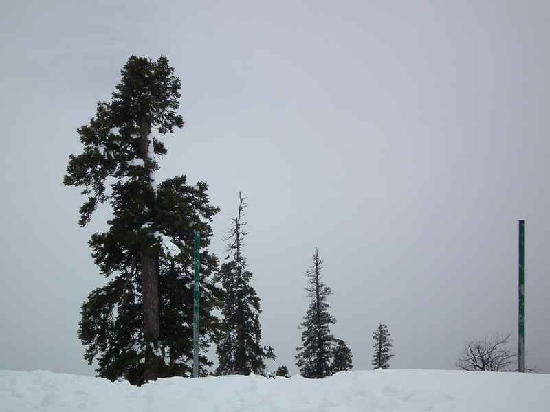 savaari-gulmarg-heavy-snowfall