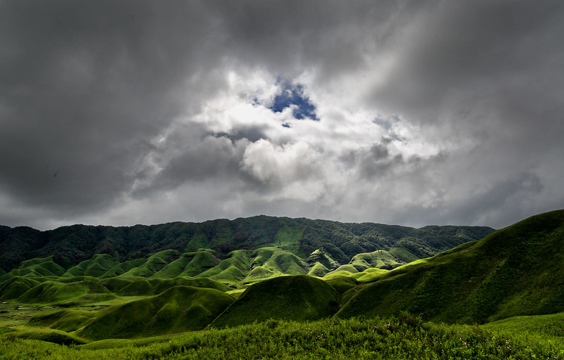 savaari-undulating-hills-of-dzukou-valley