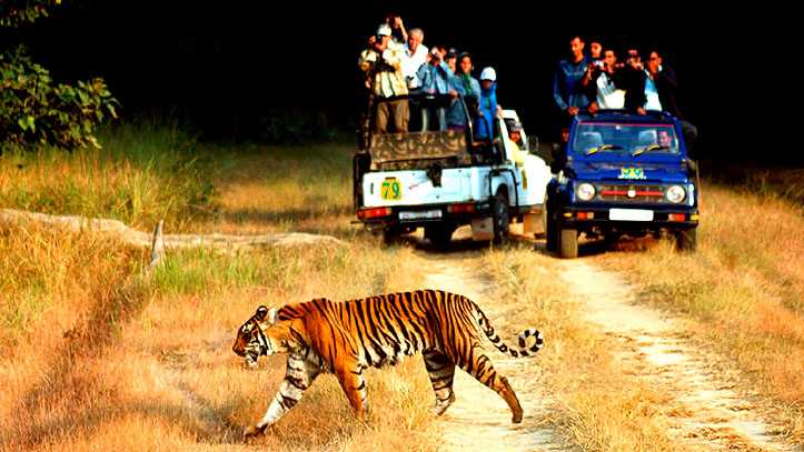 savaari-jim-corbett-national-park--travel-goals