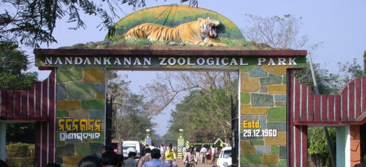 nandankanan-zoological-park-reopens