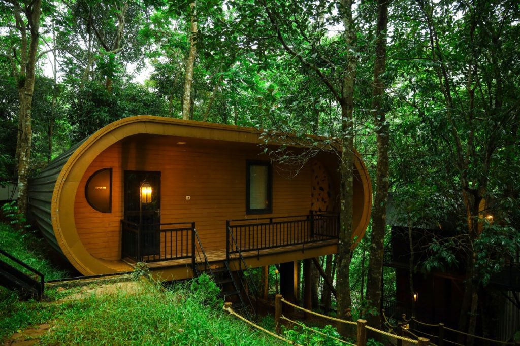 live-in-a-treehouse