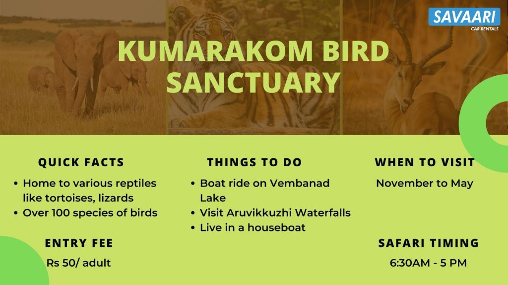 kumarakom-bird-sanctuary-facts