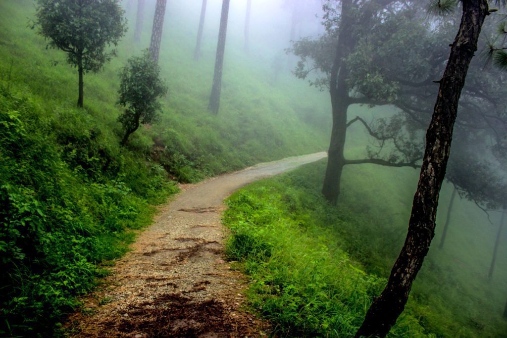 Kasauli-travel-guide