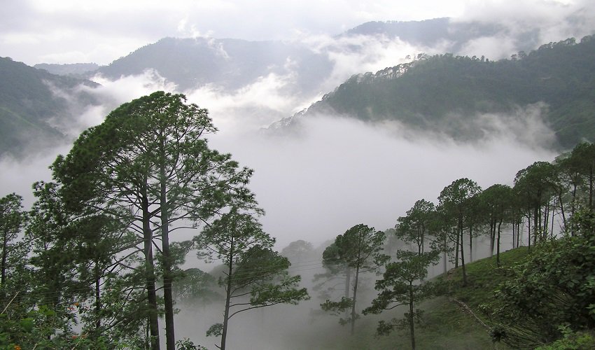 araku-valley-weather