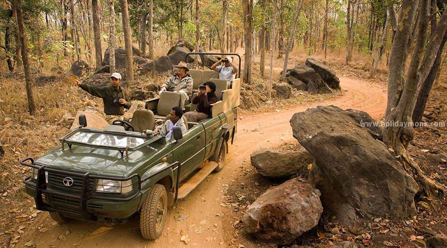 safari timings in kabini