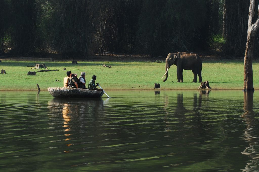 Kabini-river-things-to-do