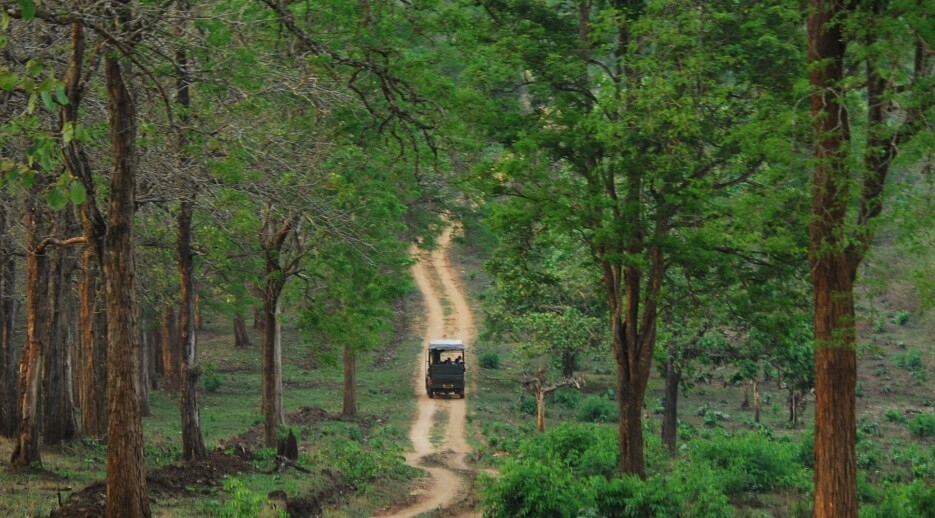 best-time-to-visit-kabini