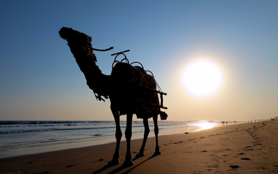 Puri Beach