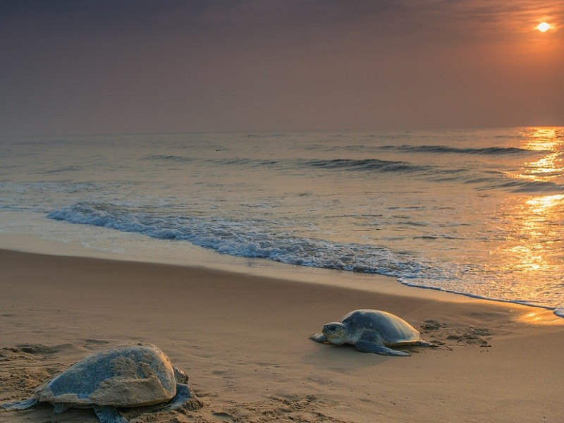 Balighai Beach