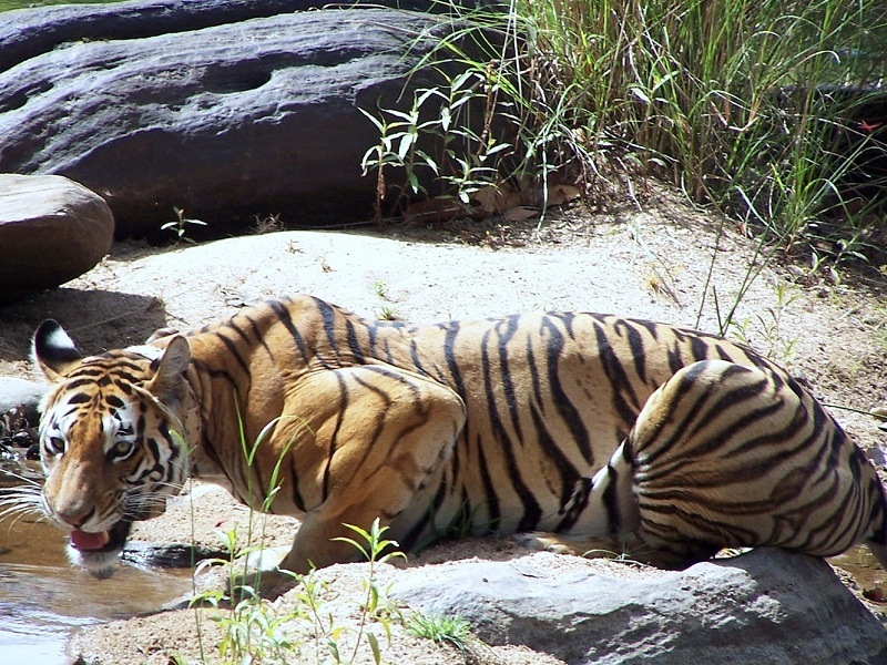 Khajuraho National Park