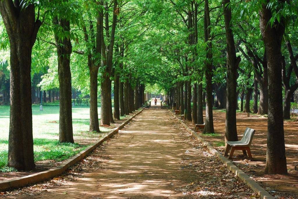 cubbon-park-bangalore