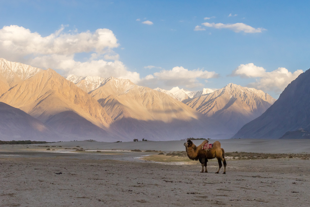 Nubra-valley