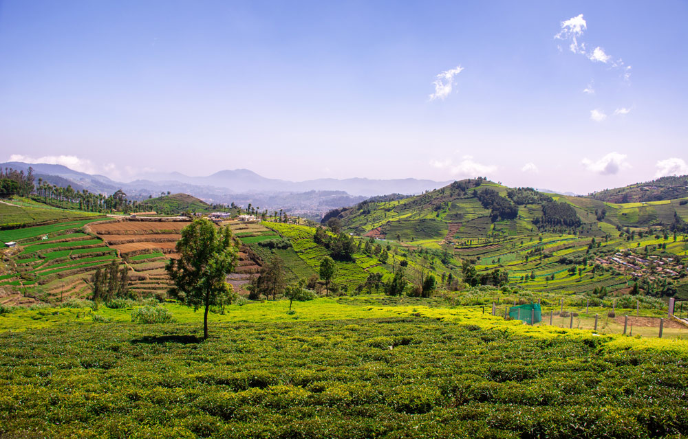 coonoor places to visit timing