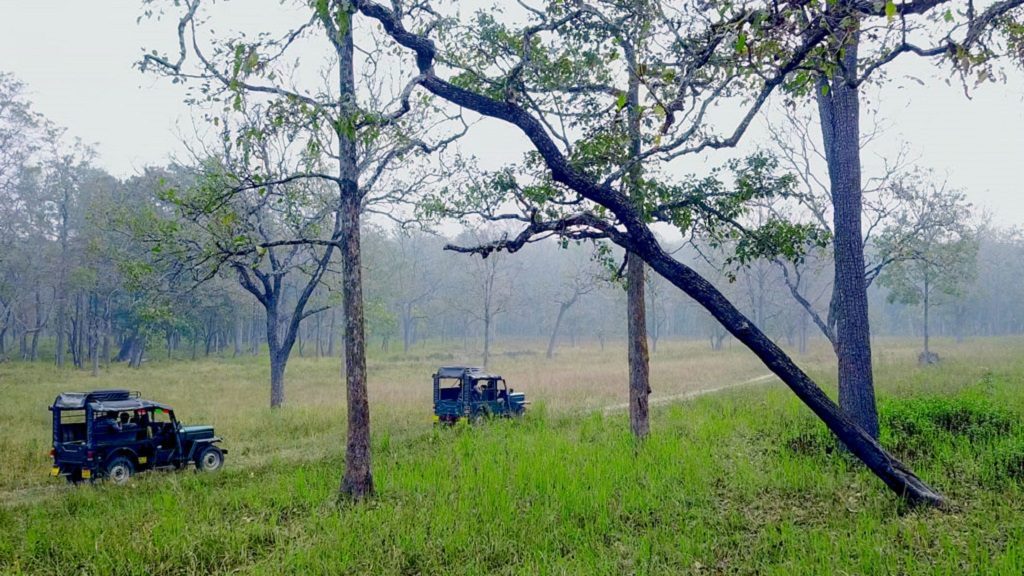 Wayanad Wildlife Sanctuary