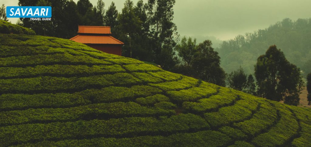 Ooty - A Complete Travel Guide