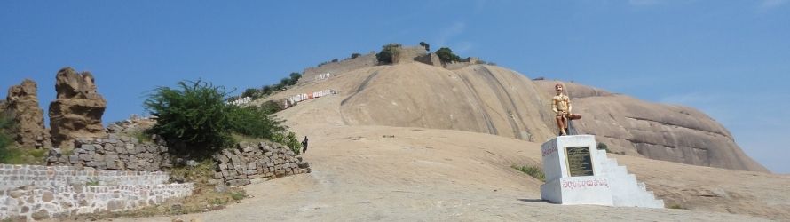 Bhongir Fort