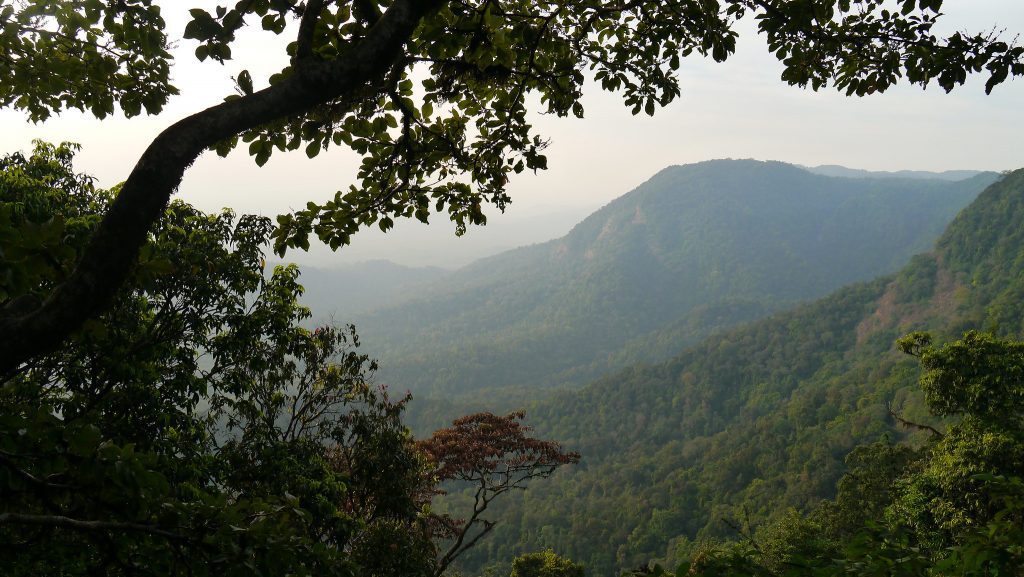 Travel Guide - Agumbe