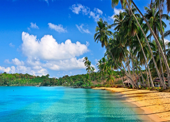 Tropical Paradise Unveiled - Things to do in Andaman & Nicobar