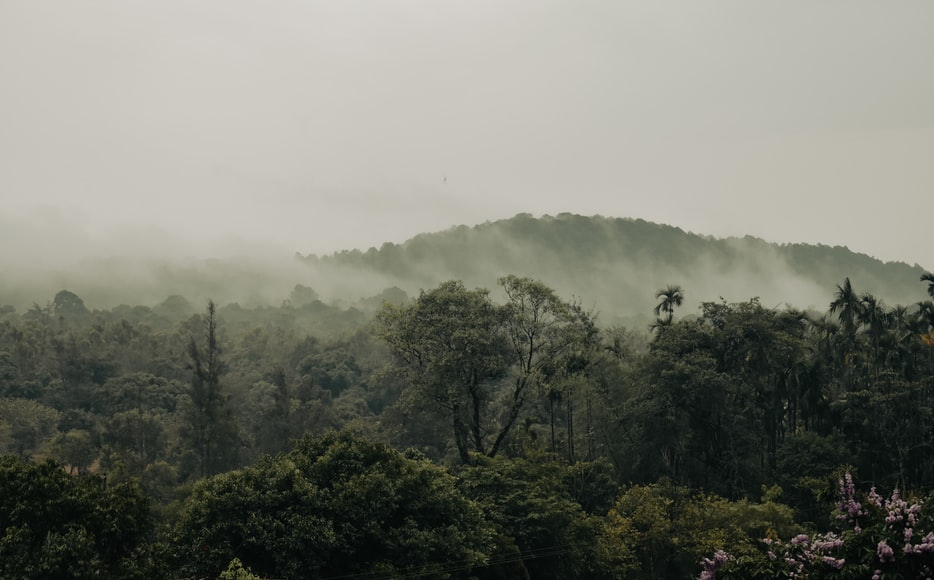 places to visit near agumbe