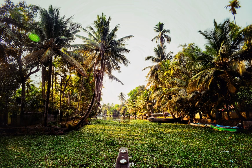 Alleppey boating