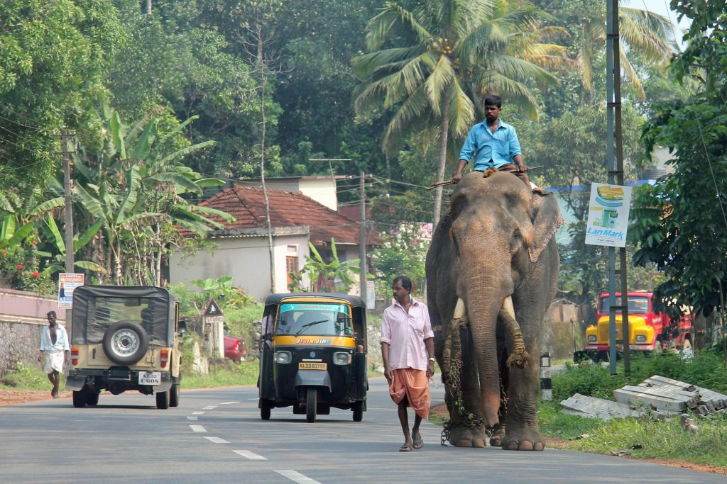 Thekkady