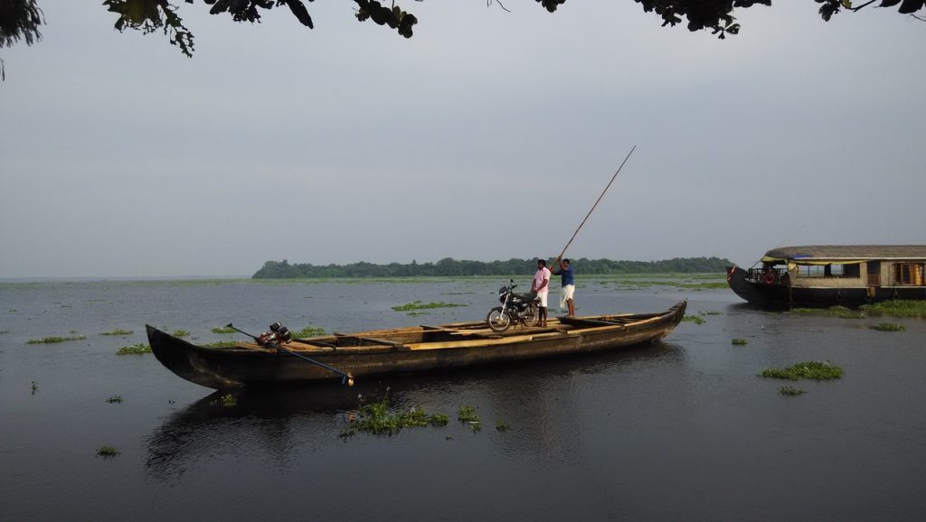 things to do at kumarakom bird sanctuary