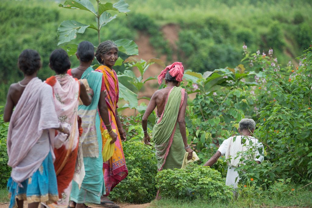 Koraput Odisha