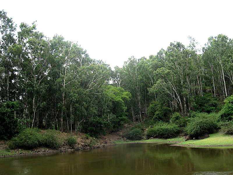 Gangotri Lake