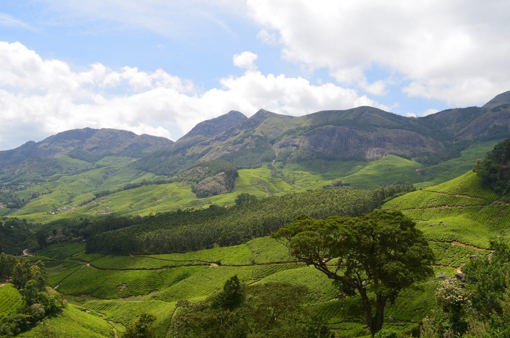 Munnar