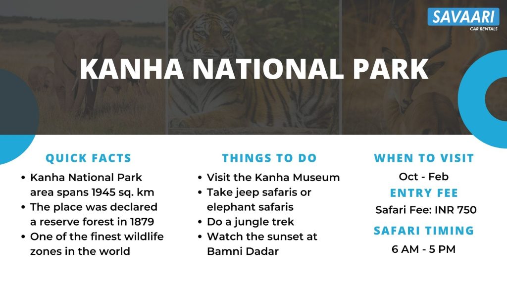 Kanha national park details