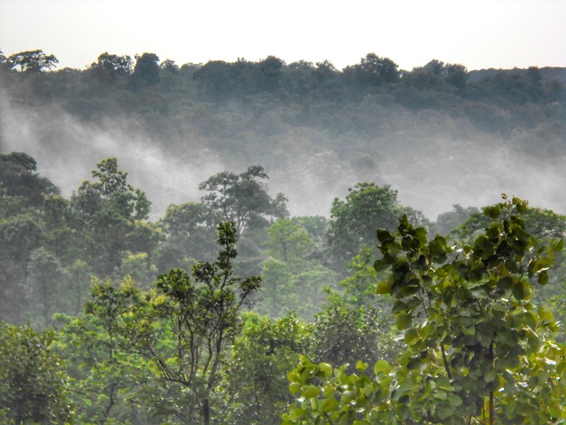 pollachi valparai tourist places