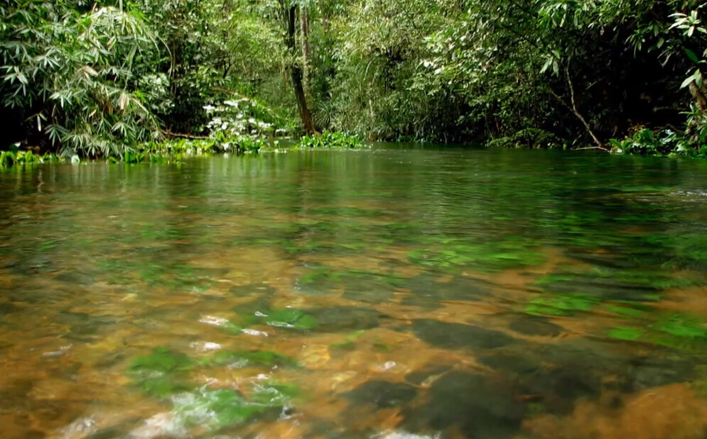 Agumbe