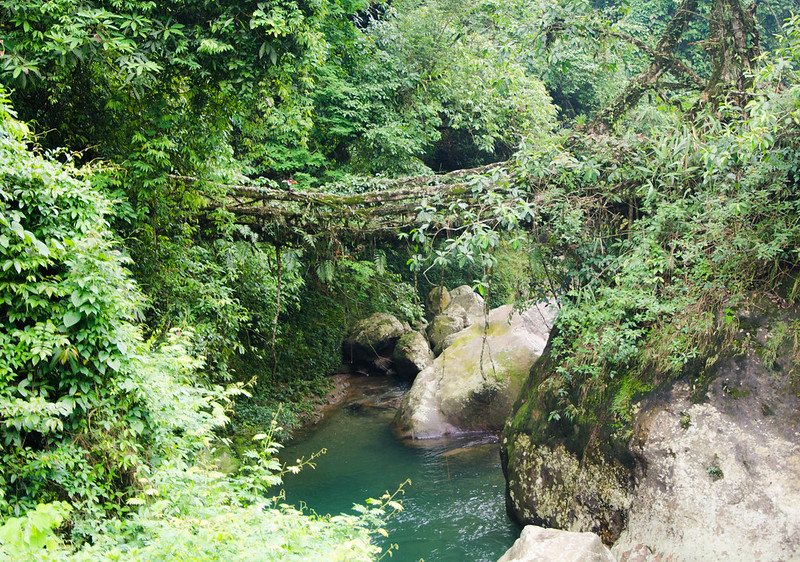 Cherrapunji 