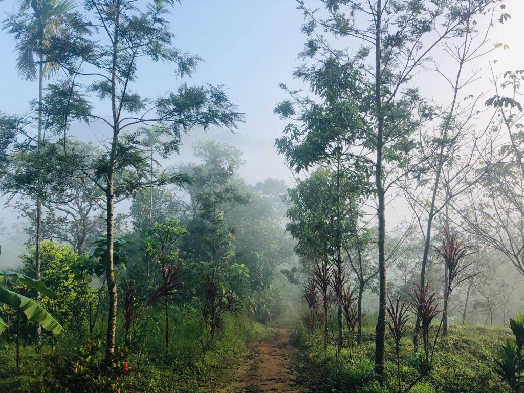 Munnar