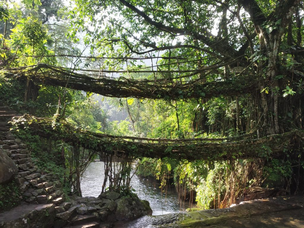 Cherrapunji