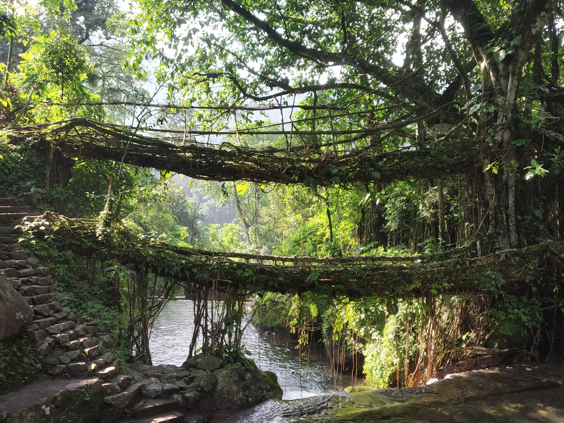 Mystical Mists of Meghalaya - Things to do in Cherrapunji